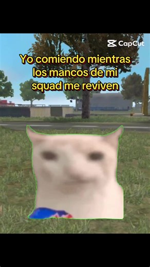 🤣 #freefire #freefirethofficial #humor #fyp #memesfreefire