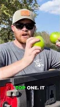 Penetration Power: $200 Crossbow Hunting Test