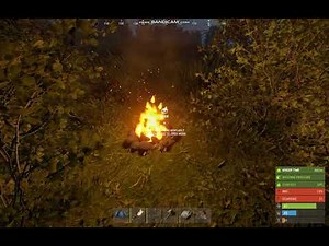Rust - How to cook chicken by using a campfire