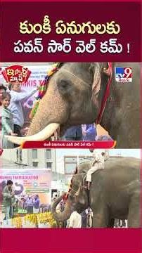 iSmart News : కుంకీ ఏనుగులకు పవన్ సార్ వెల్ కమ్ ! | Pawan Kalyan - TV9
