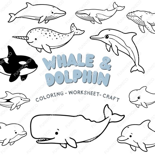 Whale Dolphin SVG Bundle | Marine Mammal Clipart | Orca Narwhal Beluga Vector | Ocean Animal PNG - Etsy