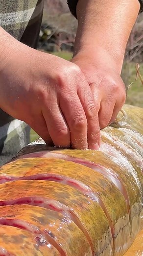 3M views · 27K reactions | Whole fish prepared and cooked over open flame, seasoned with salt and wrapped in mesh for smoky flavor #OutdoorCooking #FishRecipe #OpenFireCooking #Cooking | Wilderness Grill | Facebook