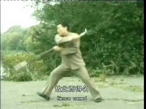 Chen style Tai Chi Guandao tutorial Chen Xiaowang 1/2