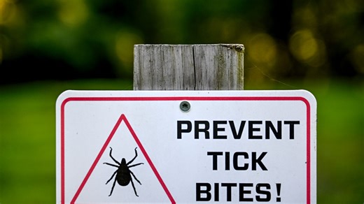 Tick-borne illnesses are rising in New York: What to know about anaplasmosis