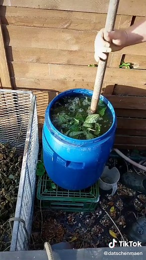 #Wundermittel #brennesseljauche ! Der beste #Dünger für deinen #Garten ! #datschenmän #Brennessel #garten #gartentok #gartentipps #gemüseanbau #sendungmitdermaus #biodünger #stickstoff #biogemüse #gemüseanbau #selbstversorger #diy #wissenswert #fürdich
