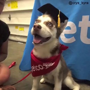 We're proud of all our Petco graduates! Save $20 when you sign up for dog training classes: http://bit.ly/PetcoGrads | Petco