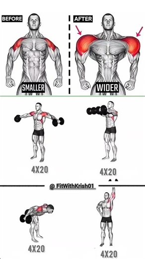Only 4 Dumbbell Exercises for Wider Shoulders | Build Broad Shoulders Fast 💪 #shorts #shoulder #gym