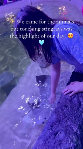 Our Kids’ Favorite Zoo Experience… Touching Stingrays! 😍