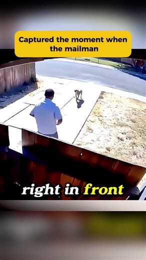 91K views · 545 reactions | Captured the moment when the mailman #camera #stories #dailynews #usa #us #police | Best Show LosAngeles | Facebook