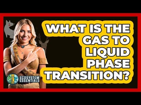 What Is the Gas to Liquid Phase Transition?