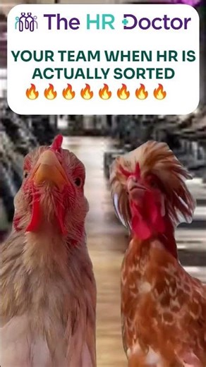 This energy is what proper management looks like.