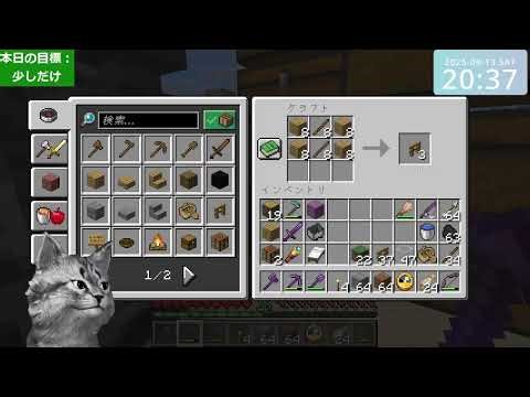 Minecraft test (Java Edition 1.21.8)