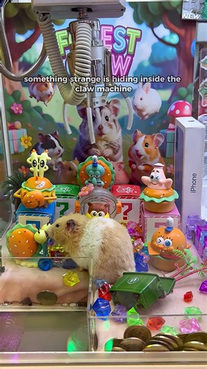 17K views · 164 reactions | Something Strange Is Hiding Inside the Claw Machine part 1 #clawmachine #arcade #prize #trending | Claw Ham | Facebook