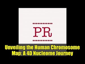 Unveiling the Human Chromosome Map: A 4D Nucleome Journey