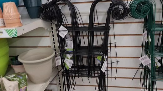 Erica Fuller on TikTok