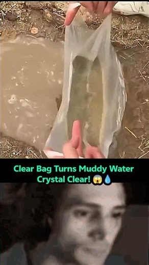 Clear Bag Turns Muddy Water Crystal Clear! 😱💧 #shorts