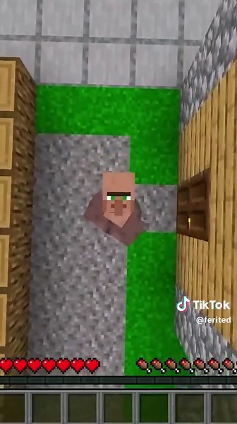 FERİTED KÖYLÜYE DÖNÜŞTÜ 😱😱 #ferited #minecraft #keşfet