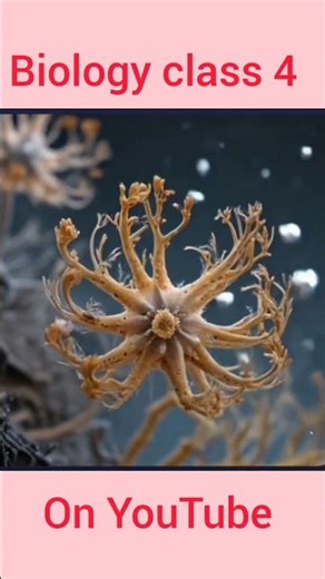 introduction of fungi part 4 #biology #fungi #facts