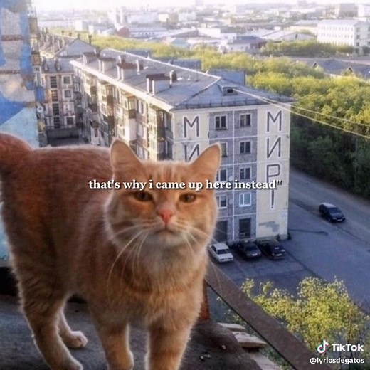 my r - cover by lollia #spedupsounds #spedupaudios #spedaudios #lyrics #catlyrics #gato #myr