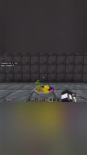 Fruit bowl for scale in Minecraft