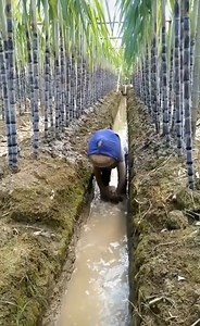 5.1K views | Amazing Technologies | Beautiful Places In India | Facebook