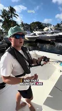 DOCKMATE: Remote Control for your Boat