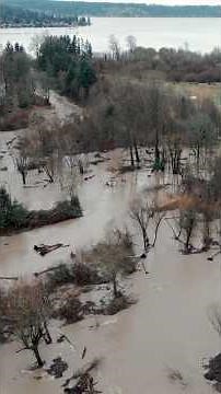 2025 Flooding - Issaquah Creek - Lake Sammamish State Park - Washington #flood #flooding #drone