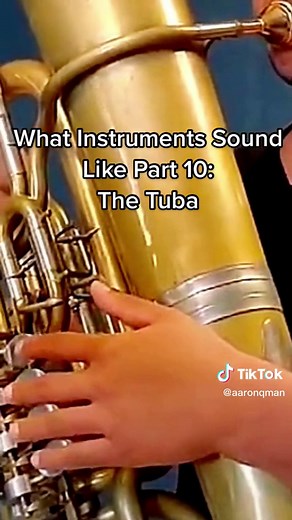 Tuba Sounds: Music Jokes & Fun Facts