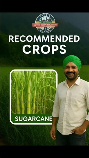 Cypersil 25 Cypermethrin 25% EC #agriculture #farming #organic #natural #kisan