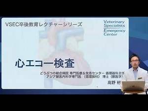 VSEC Academy【心エコー検査】