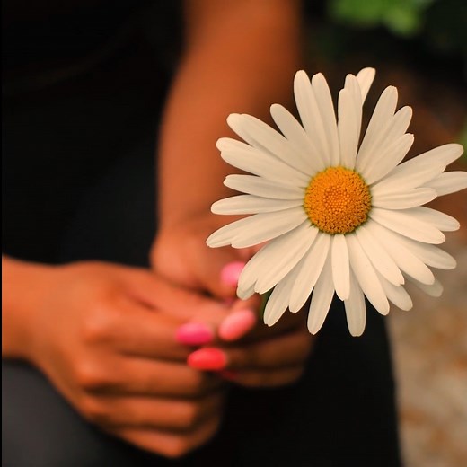 Experience the coming of bloom - witness a captivaving transformation. | The Spring