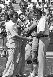 Ray Easterling - Alchetron, The Free Social Encyclopedia