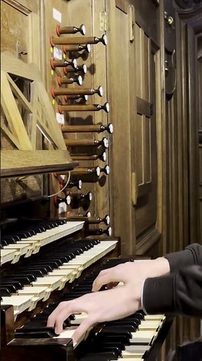 The Cathedral Comes Alive in Sound