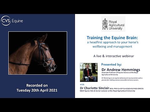 Training the Equine Brain: a headfirst approach to your horse's wellbeing management