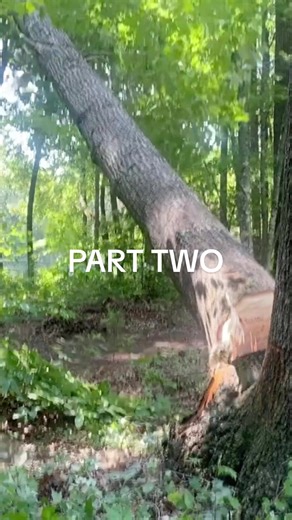 Mastering the Jump Cut Technique: Part Two