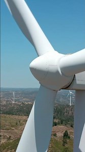 Carbon Credits | Why Insurance Matters