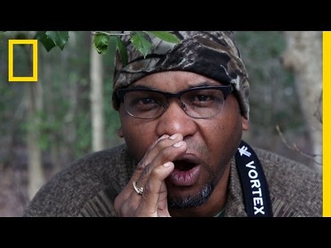 Bird-Watching While Black: A Wildlife Ecologist Shares His Tips | Short Film Showcase