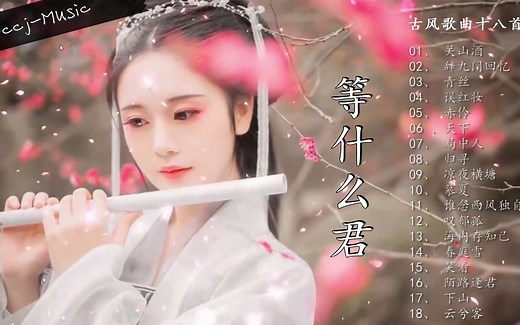 纯享版【等什么君18首】精编合辑#Goccj，中文字幕,無損音质，TikTok 抖音音乐 网易云 全网超火超好听。 Goccj Music