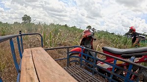 Motorcycle sidecar rider overturns and crashes into sugarcane field