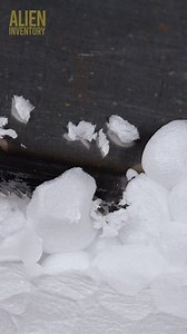 styrofoam vs hand saw #asmr #asmrsounds #macroart #macro #macrophotography #makrofotografia #closeup #closeupphotògraphy #raw_macro #kings_macro #macro_highlight #macro_royals #macroworld_tr #macro_vision #macro_captures #macro_holic #microworld | Alien Inventory