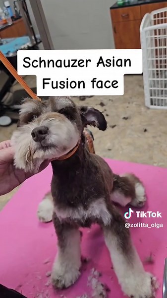 Zolitta_Olga on TikTok