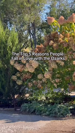 What’s not to love about the Ozarks?! 1. The scenery  Living in the...