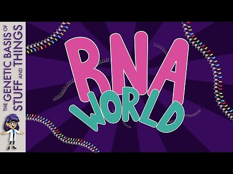 RNA world – The origin of life?