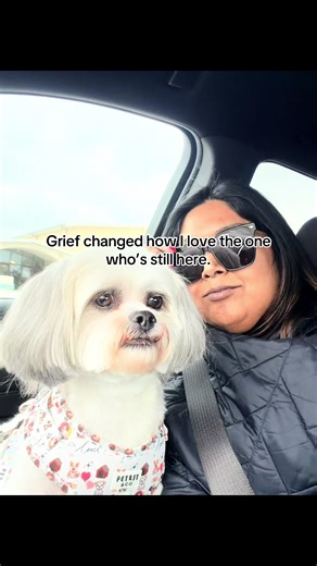 Grieving a pet while still loving the one who’s here is a very specific kind of heartbreak. No one prepares you for life after losing a pet when you still have a surviving animal watching you grieve. I never thought I’d be the person who: • Takes hundreds of photos a week “just in case” • Checks his breathing in the middle of the night • Researches longevity and supplements like it’s urgent • Schedules extra vet visits for peace of mind • Cancels plans because time feels fragile • Says “I love y