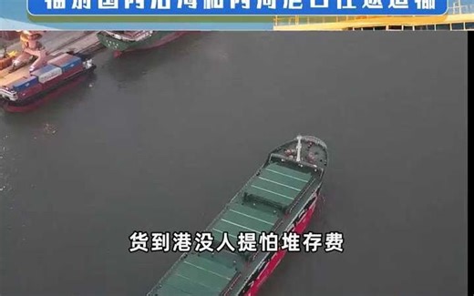 兴佳海运物流17年