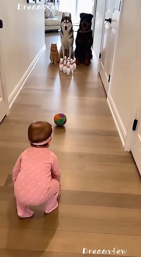 Fun Bowling Day at Home!” 🏡🎳👶🐾💖 🎬 100 % AI-generated video. Original story and animation created with artificial intelligence tools for family entertainment. All characters and situations are fictional and digitally created. Designed to make people smile and enjoy creative storytelling. 🚫 Reuploads or copies are not allowed. #AIvideo #AIfunny #AIfamily #AIanimals #DigitalArt #AIcreativity #ArtificialIntelligence #CuteAI #FunnyPets #RealisticAI #HistoriaIA #AnimacionIA #ContenidoIA #CineDi