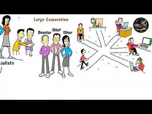Human Resource Management Explained: Roles, Skills, and Career Opportunities