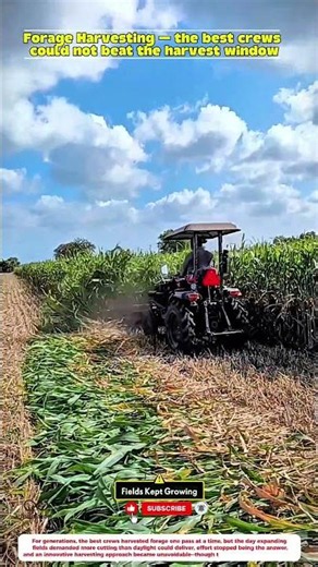 Forage Harvesting — the best crews could not beat the harvest window