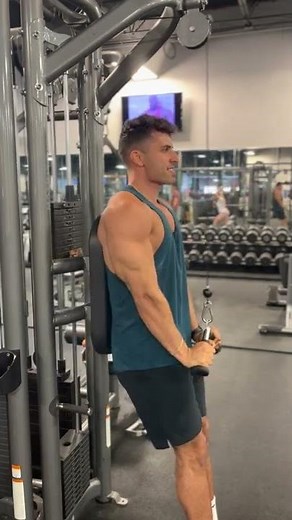 How to Properly Perform V-Bar Cable Tricep Pushdown With Good Form (Exercise Demonstration)