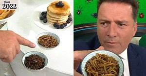 Push to get more people eating bugs and insects